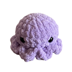 Custom Crocheted Octopus Plushie (1 pc)