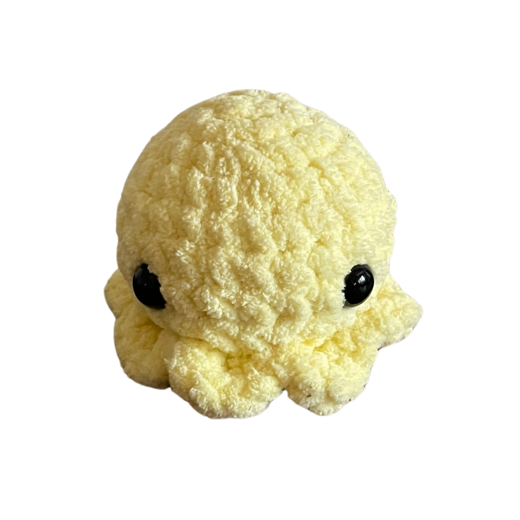 Custom Crocheted Octopus Plushie (1 pc)